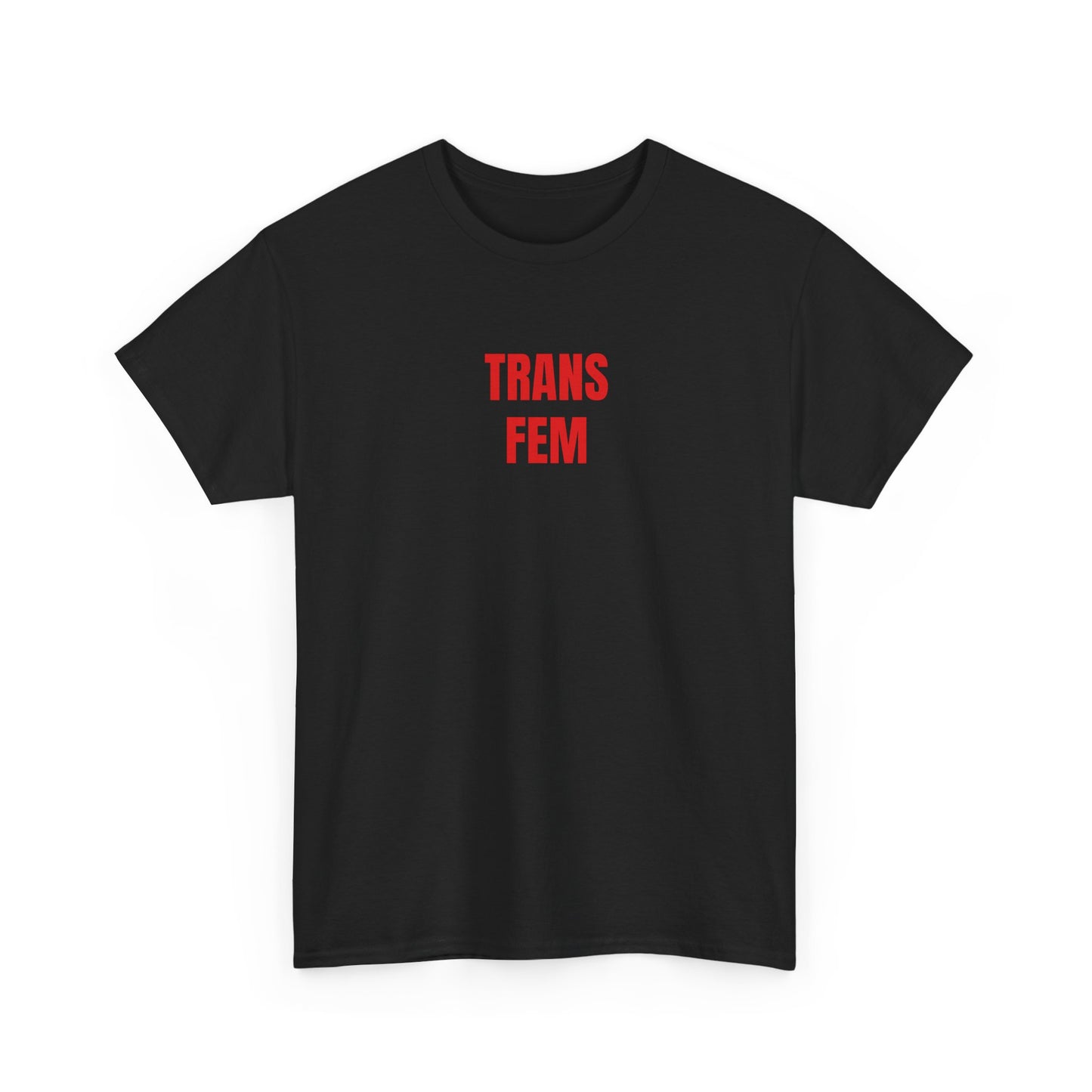 TRANS FEM T-Shirt